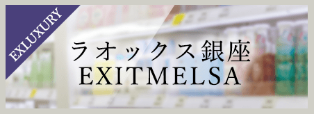 ラオックス銀座EXITMELSA